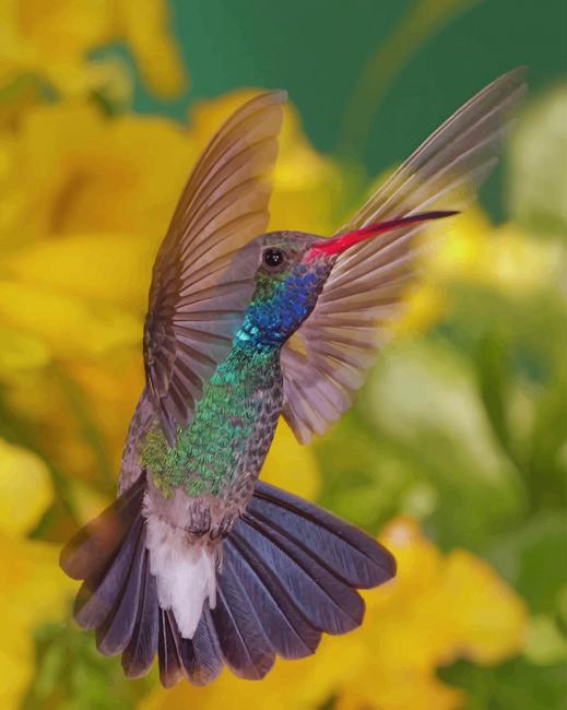 Colorful Bird paint by numbers