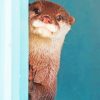 Cute Baby Otter paint by numbers
