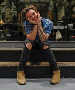 Cute Harry Styles paint by numbers