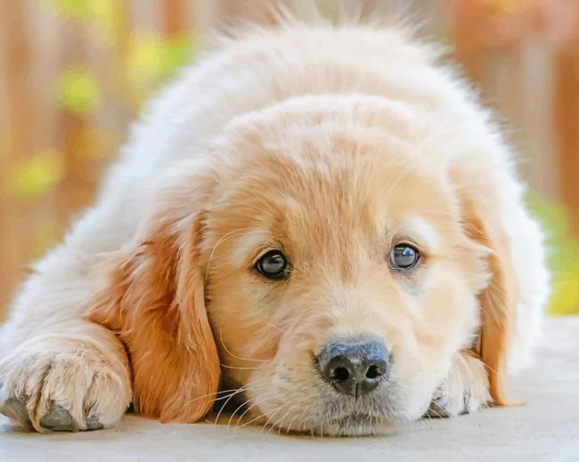 Cute Puppy paint by numbers