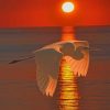 Great Egret Sunset paint by numbers