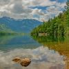 Lush Green Forest On Lake Shore In Highlands paint by numbers