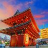 Meiji Jingu Tokyo paint by numbers