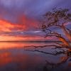 Weyba Lake Sunset Paint By Numbers