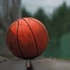 Basketball On Bench paint by numbers