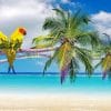 Beach Parrots Paint By Numbers