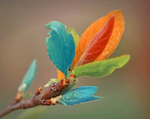 Colorful Tree Leaves paint by numbers