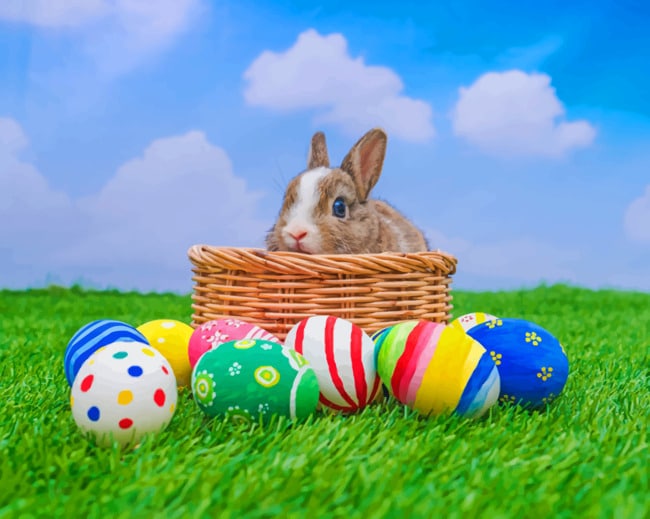Easter Rabbit Paint By Numbers