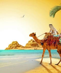 Egypt Desert Camel Paint By Numbers