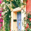 House Garden Roses