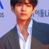 Kim Tae Hyung paint by numbers