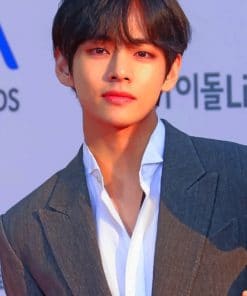 Kim Tae Hyung paint by numbers