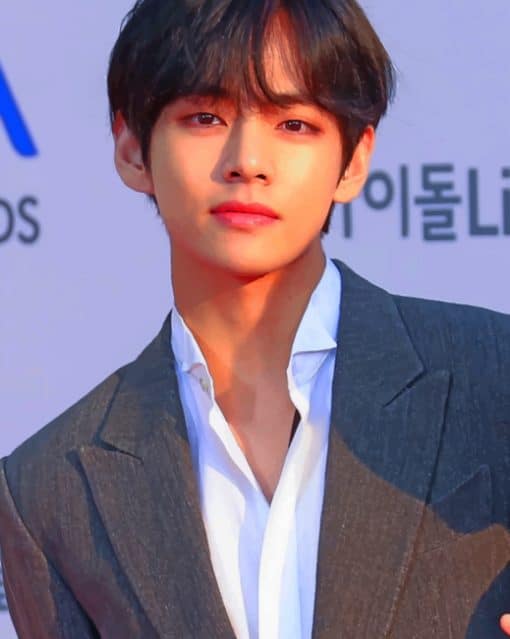 Kim Tae Hyung paint by numbers