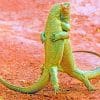 Two Komodo Dragons paint by numbers