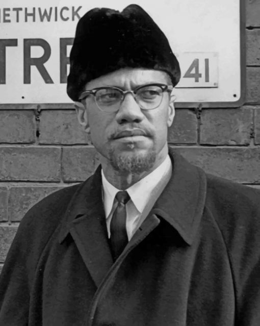 Malcom X In Black Suit paint by numbers