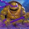 Ninja Turtles Donatello paint by numbers