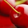 Red Cherry Fruit paint by numbers