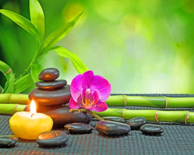 Relaxing Nature Elements paint by numbers