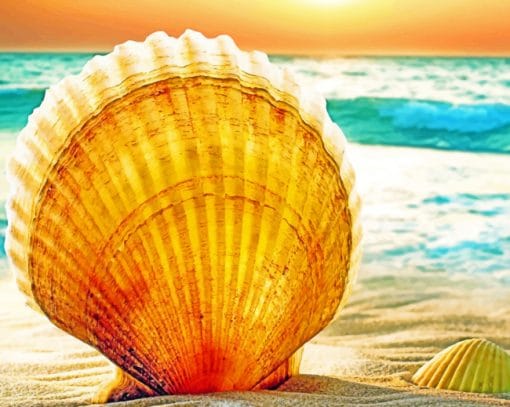Shells On Beach paint by numbers