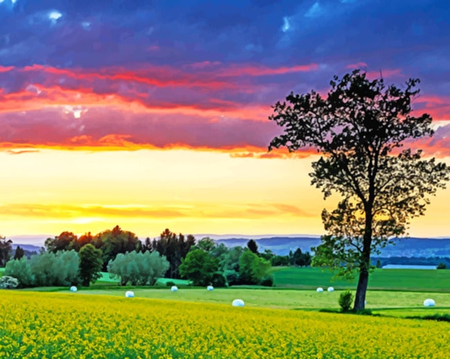 Switzerland Fields Paint By Numbers