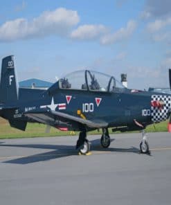 T6 Texan Jet Aircraft paint by numbers