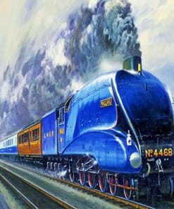 The Mallard Liner Train - Engines Paint By Numbers