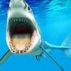 Vicious Mouth Of A Shark paint by numbers