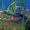 American Alligator paint by numbers