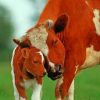 Beautiful Cow And Calf paint by numbers