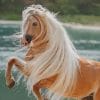 Beautiful Golden Horse paint by numbers