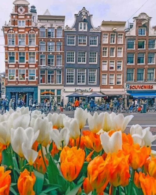 Beautiful Houses In Amsterdam And Tulips paint by numbers