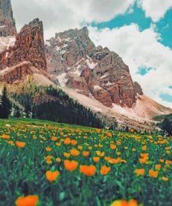 Beautiful Landscape paint by numbers