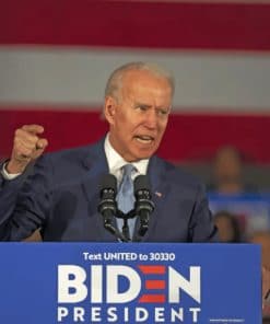 Joe Biden Giving A Speech paint by numbers
