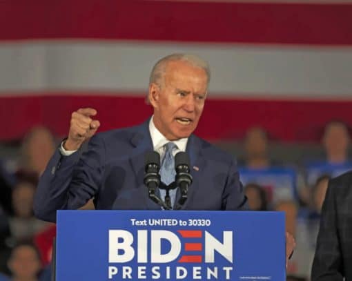 Joe Biden Giving A Speech paint by numbers