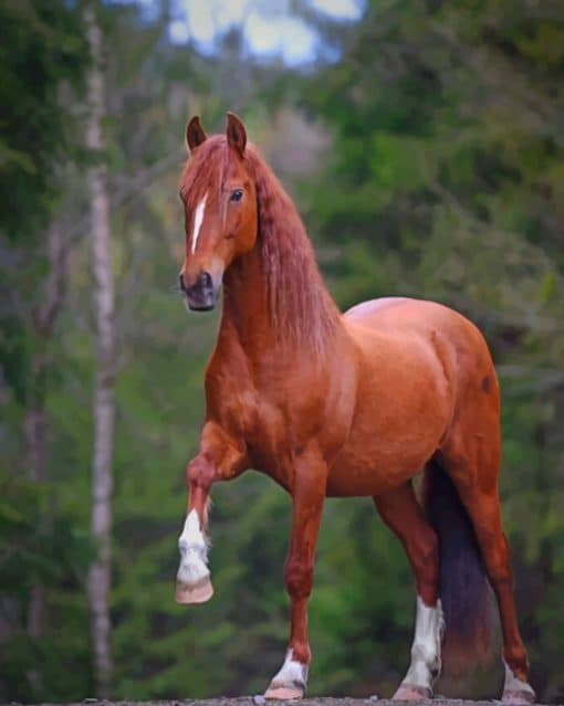 Brown Horse paint by numbers