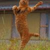 Funny Cat paint by numbers