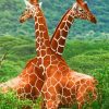 Giraffes In The Jungle paint by numbers