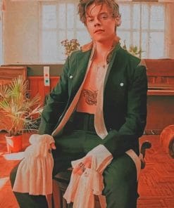Harry Styles paint by numbers