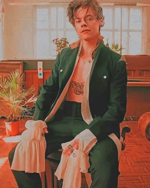 Harry Styles paint by numbers