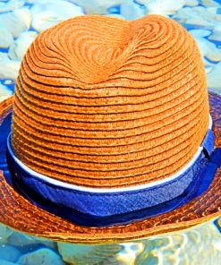Hat In Water Stones paint by numbers