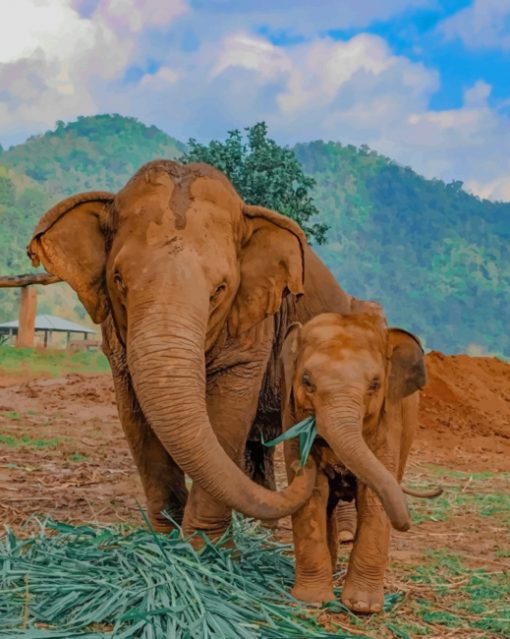 Mommy And Baby Elephant paint by numbers