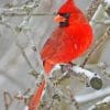Northern Cardinal Bird On Tree pint by numbers