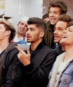 One Direction Team paint by numbers