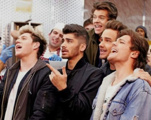 One Direction Team paint by numbers