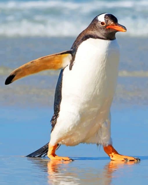 Penguin Bird On Sea Shore paint by numbers