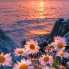 Sunset At Beach paint by numbers