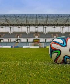 A Ball In The Stadium paint by numbers