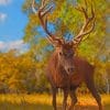 The Crown Prince Deer paint by numbers