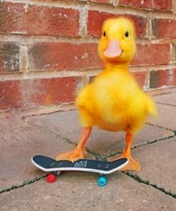 Yellow Duck paint by numbers