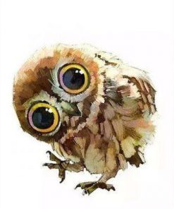 Funny Owl - Birds Paint By Number